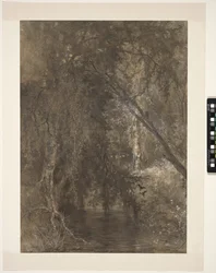 Ansicht im Wald mit kleinem Wasser, nahe Wolfheze, Niederlande